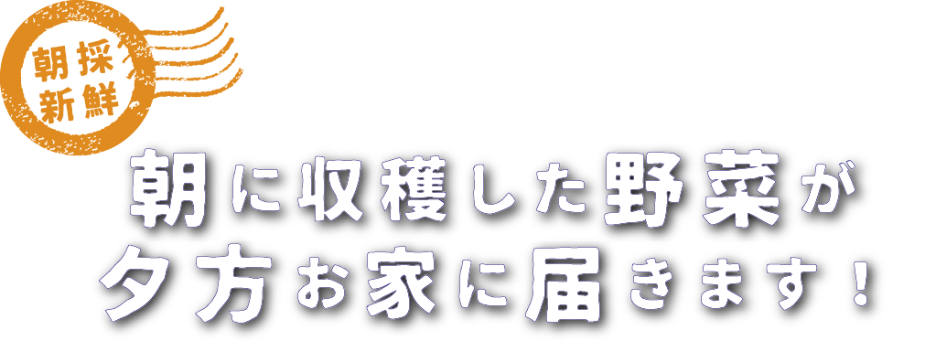 朝に収穫した野菜が夕方お家に届きます！