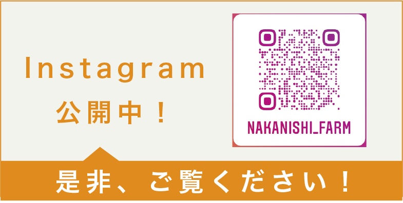 Instagram公開中！ 是時、ご覧ください！