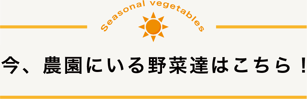 今、農園にいる野菜たちはこちら！