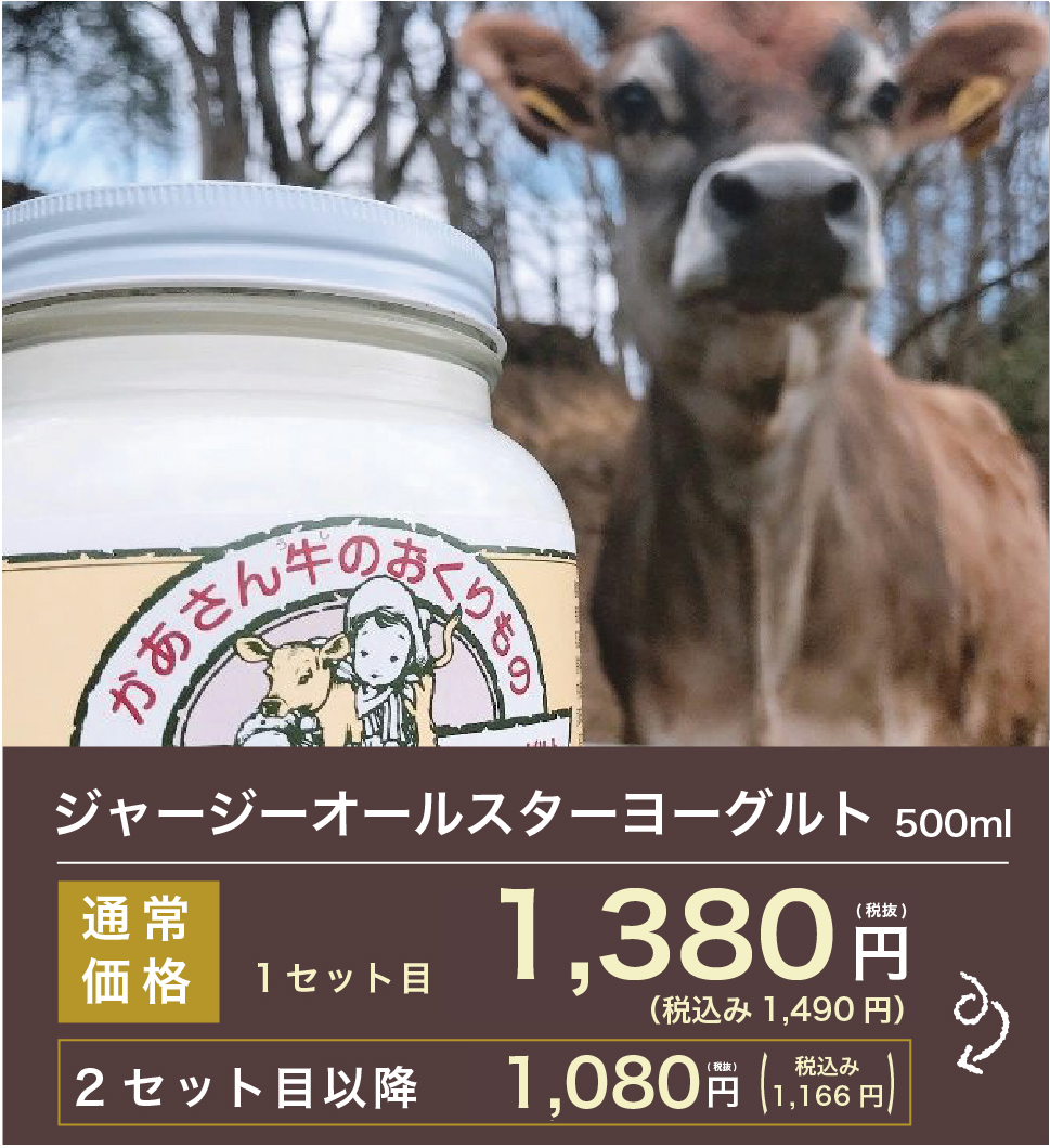 ジャージーオールスターヨーグルト 500ml 1,380円(税抜)送料込み